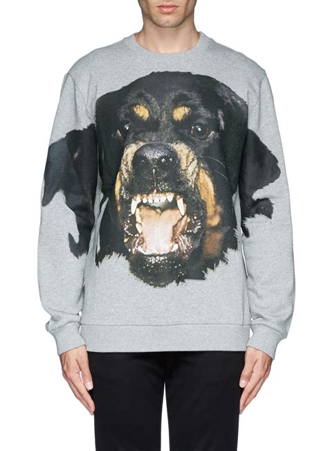 givenchy rottweiler sweater|givenchy rottweiler sweatshirt.